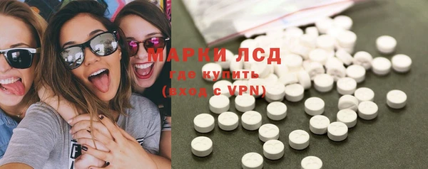крисы Медвежьегорск