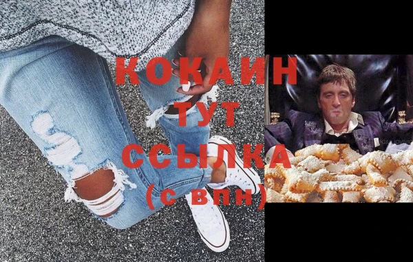 крисы Медвежьегорск